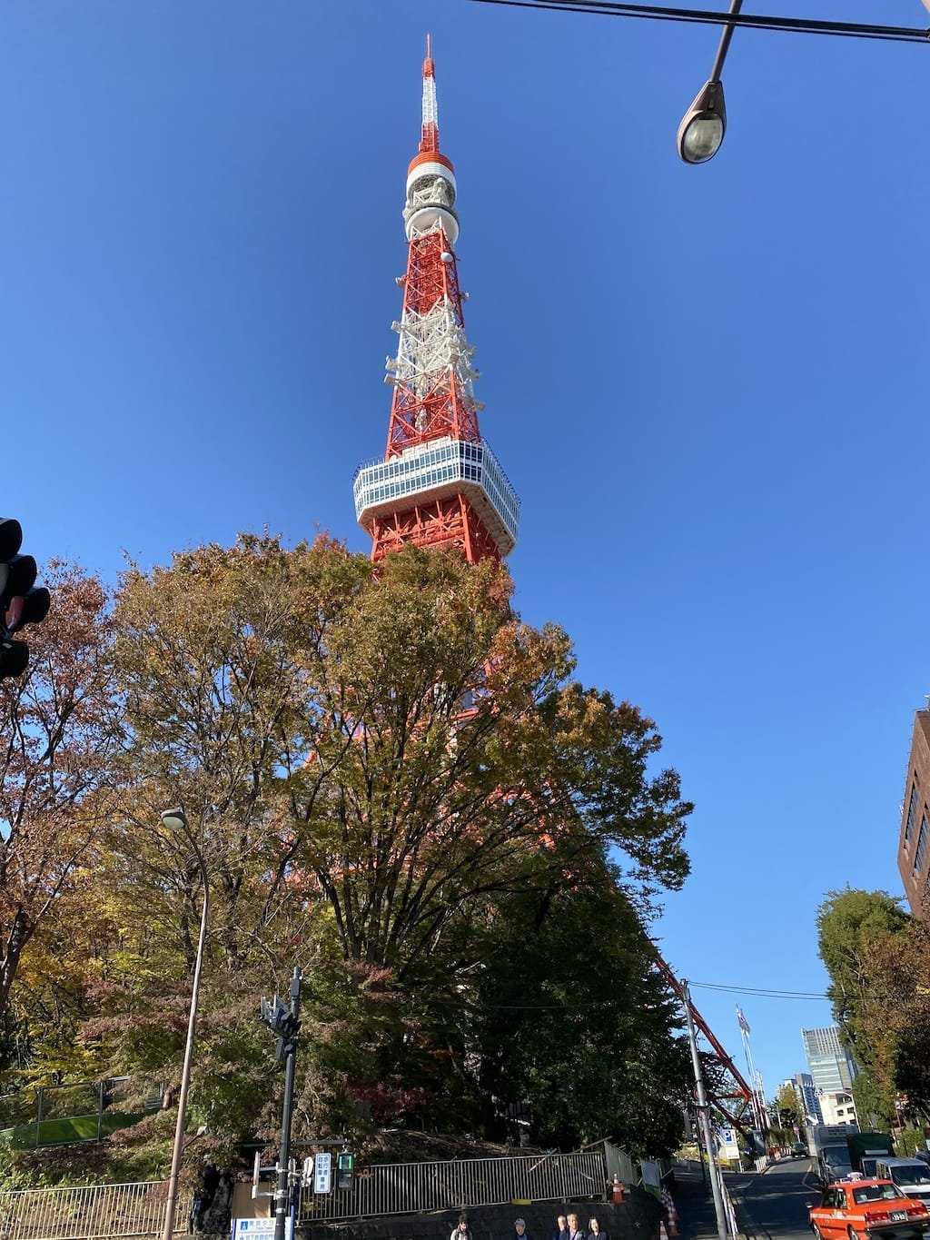 Tokyo Tower, trees and blue sky