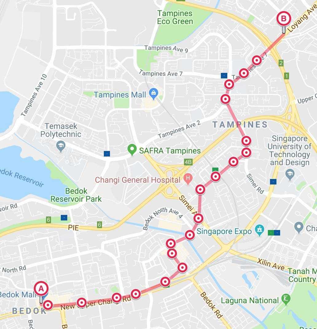 Bus route that is incomplete with straight lines between stops