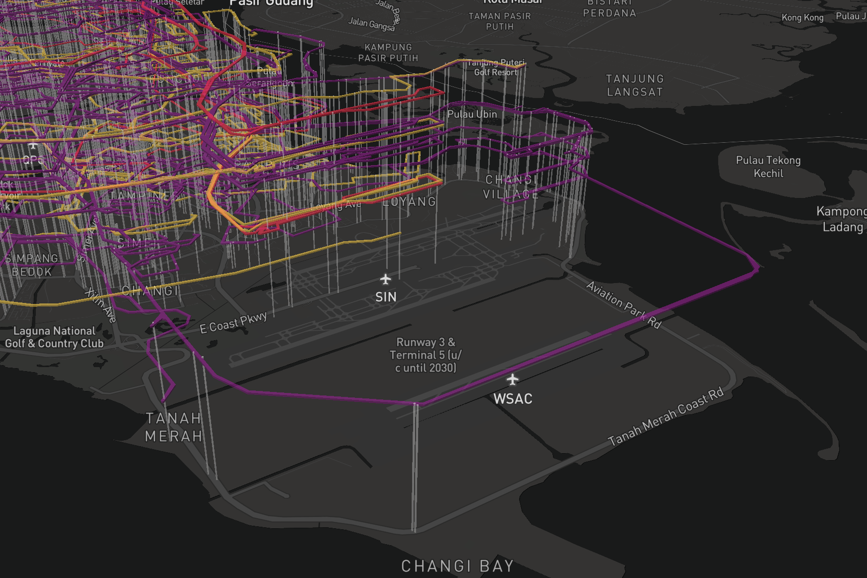 BusRouter SG visualization, showing routes and stops near Changi Airport